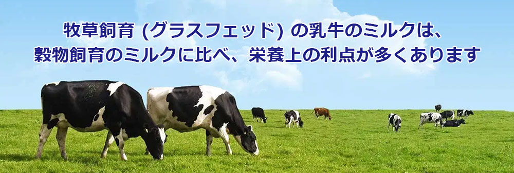 牧草飼育 (グラスフェッド) の乳牛のミルクは、穀物飼育のミルクに比べ、栄養上の利点が多くあります